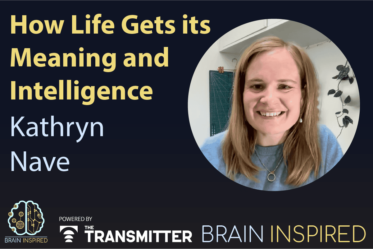 Paul Middlebrooks | The Transmitter: Neuroscience News and Perspectives