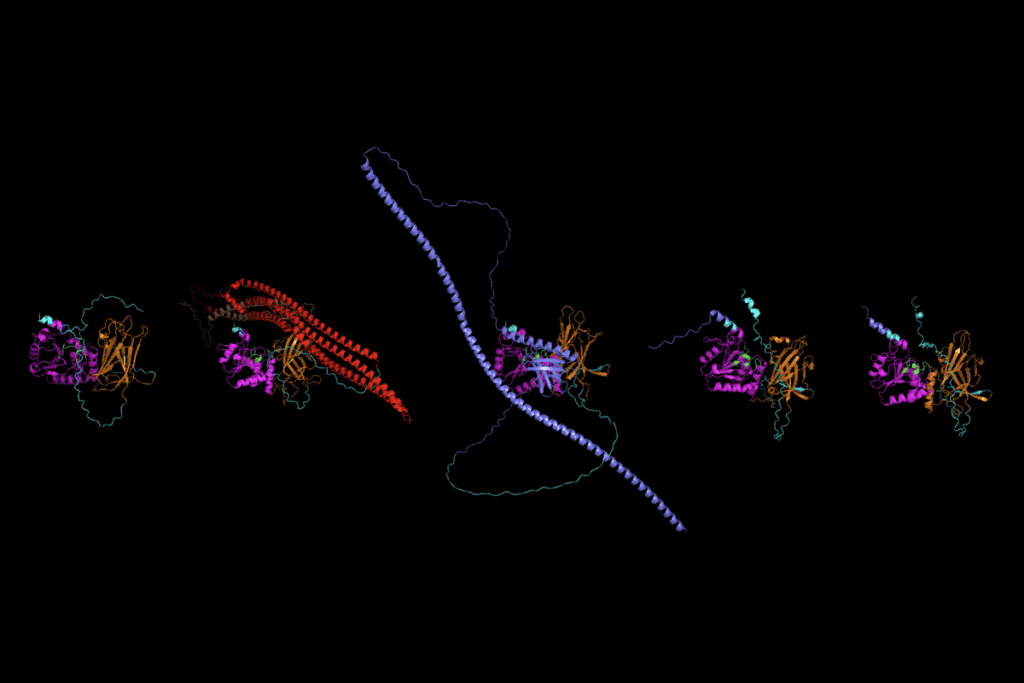 Research image of autism-linked gene PTEN changes in neurons.