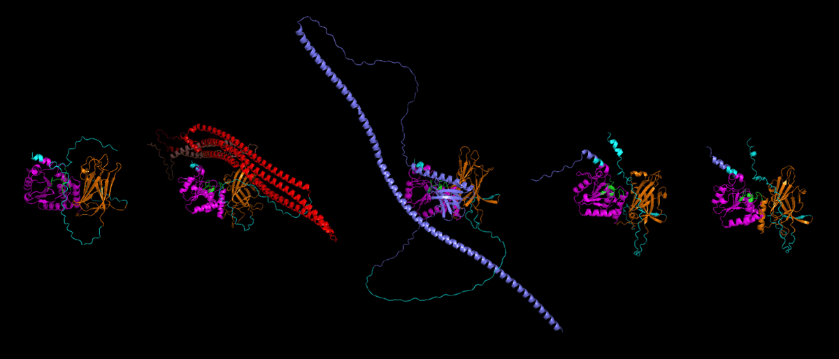 Research image of autism-linked gene PTEN changes in neurons.