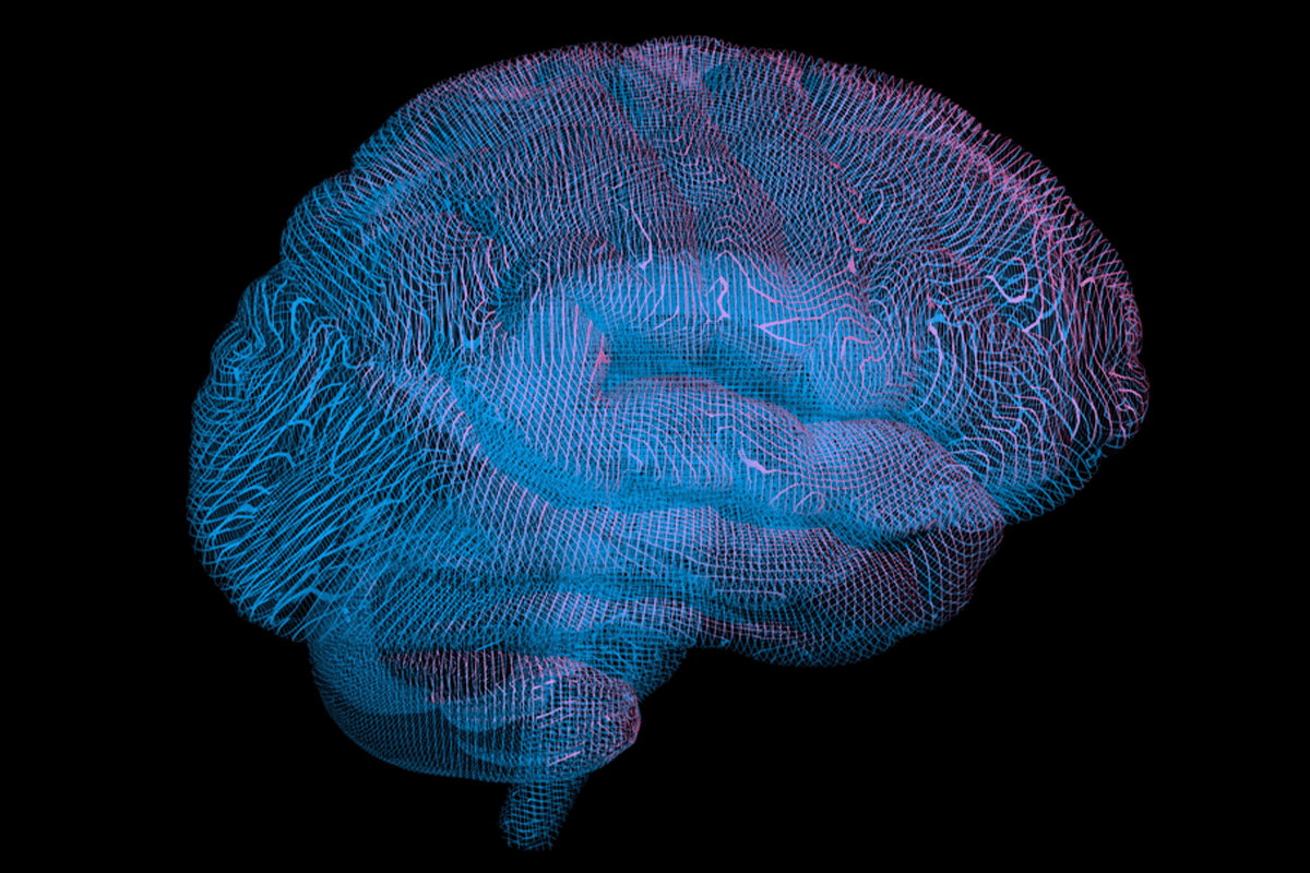 Illustration of brain taking shape.