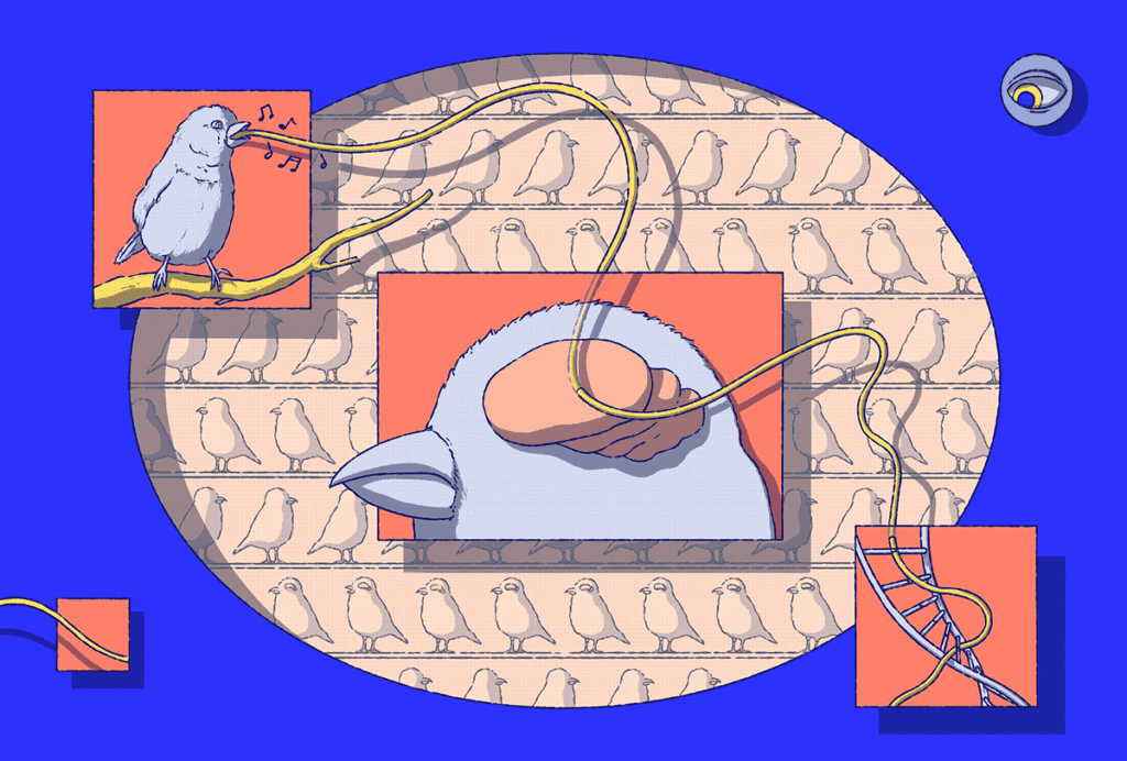 Ilustración del canto de las aves, el cerebro de las aves y el ADN.