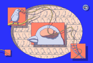 Ilustração de canto de pássaro, cérebro de pássaro e DNA.