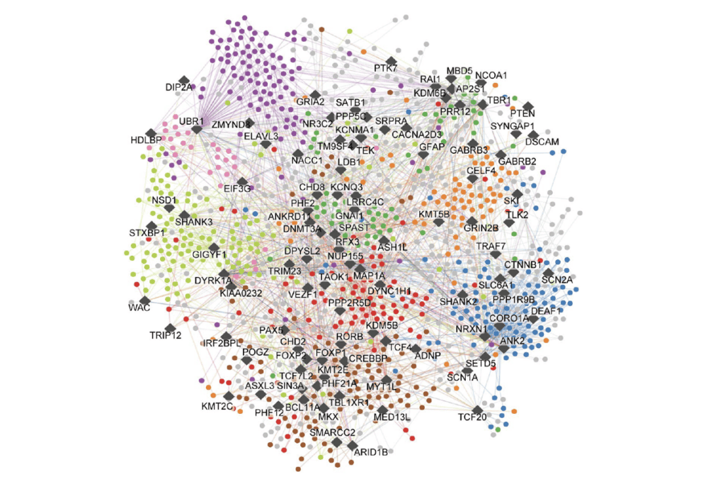 Research image of convergent interactions.