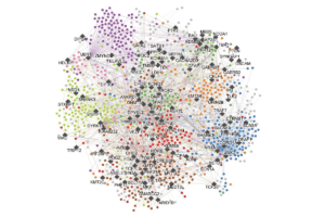 Research image of convergent interactions.