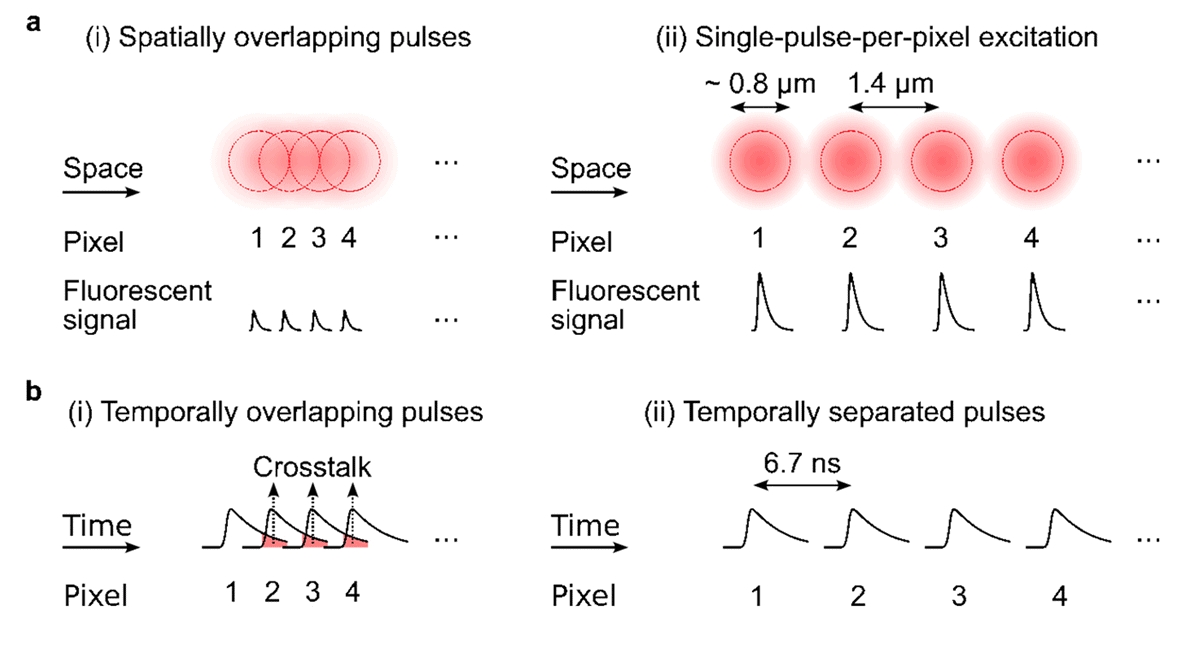 Research image of fluorescence signals.