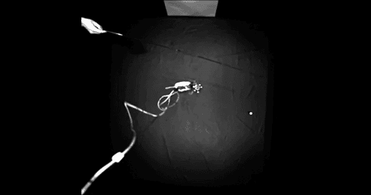 New findings begin to resolve theta sweep debate