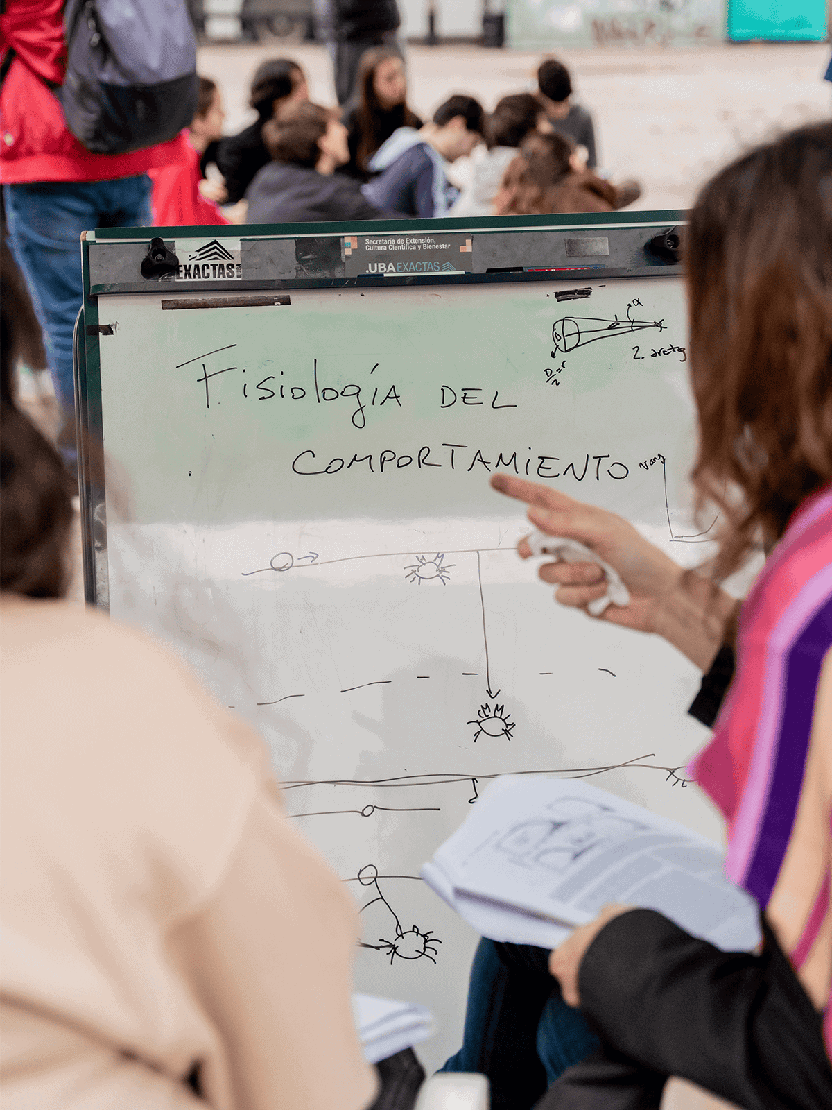 Quadro branco exibindo o desenho de um caranguejo e um texto em espanhol: "fisiologia do comportamento".