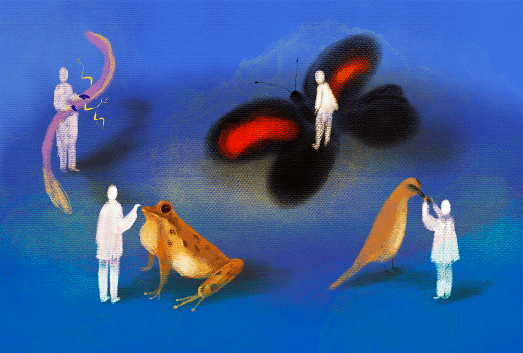Scientists with giant animals: Frog, butterfly, electric fish and a bird.