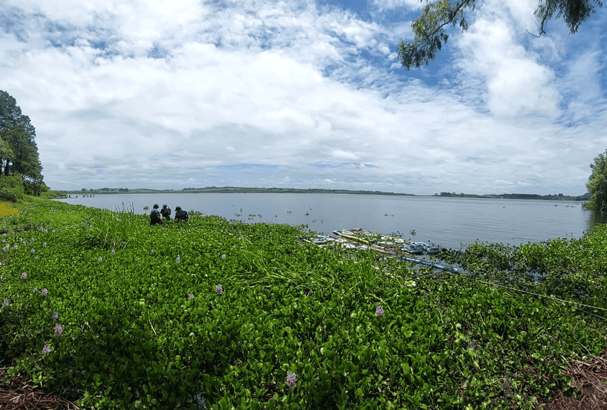 Landscape view of water and sky.