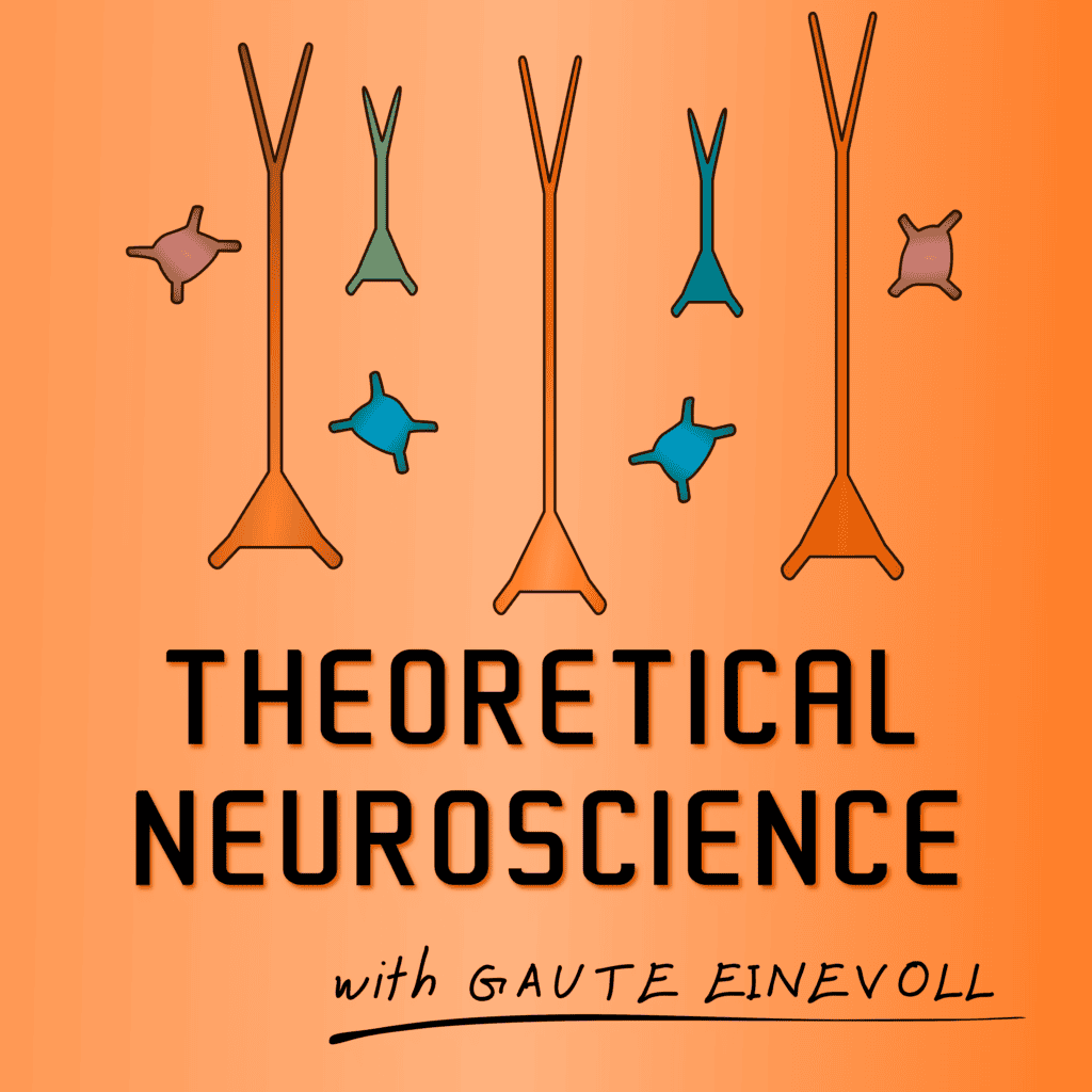 Theoretical neuroscience podcast with Gaute Einevoll.