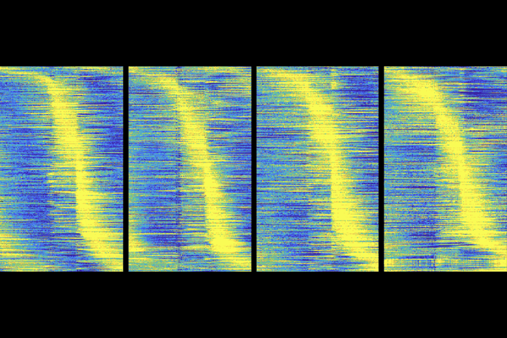 Research diagram of task-aligned activity rasters.