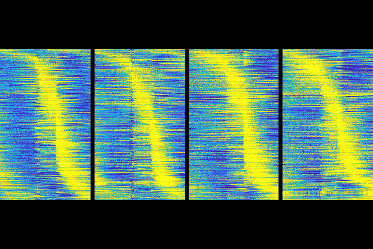 Research diagram of task-aligned activity rasters.