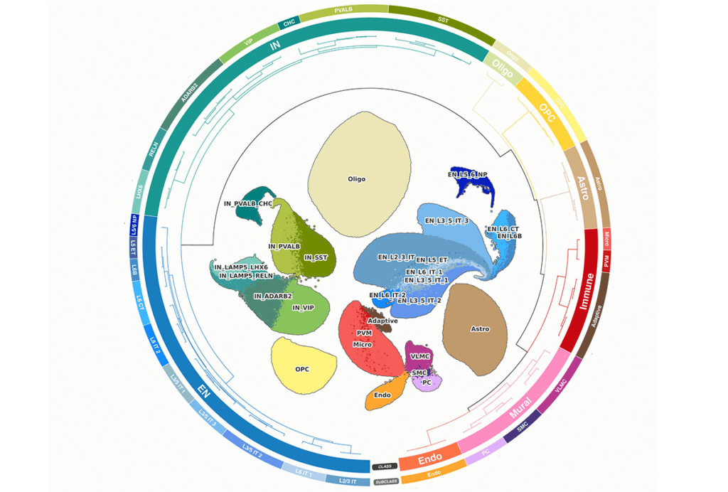 Research diagram of gene expression.