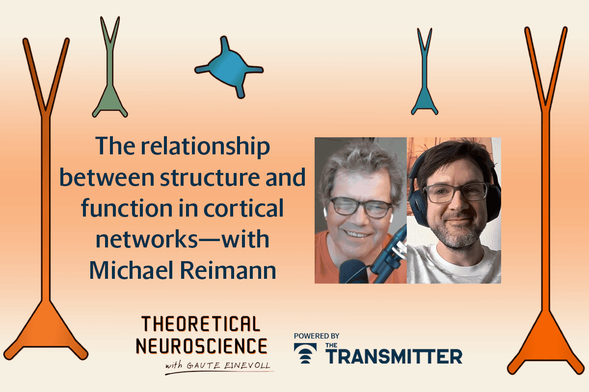 Lipids enter brain mapping limelight | The Transmitter: Neuroscience ...