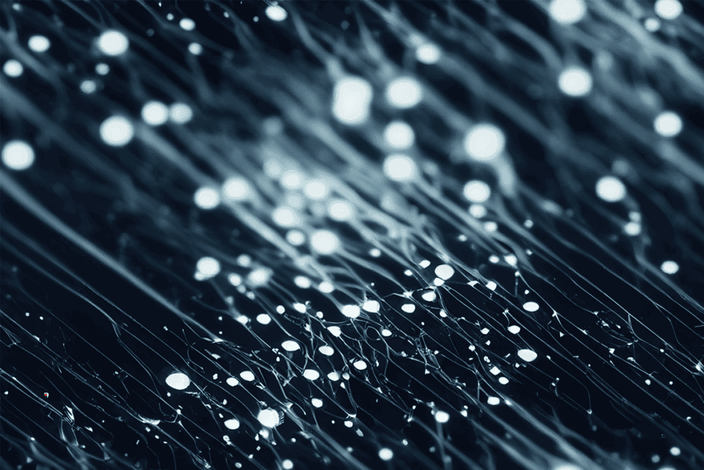 Stock photo of a group of neurons.