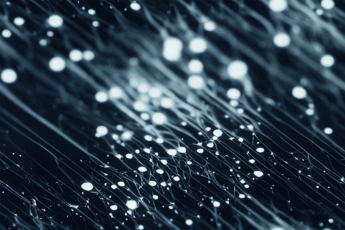 Stock photo of a group of neurons.