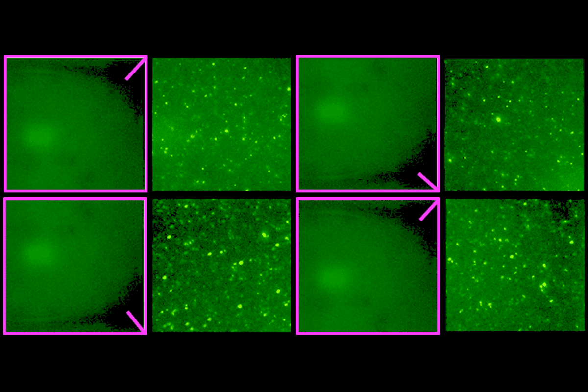Image showing duplicated data.