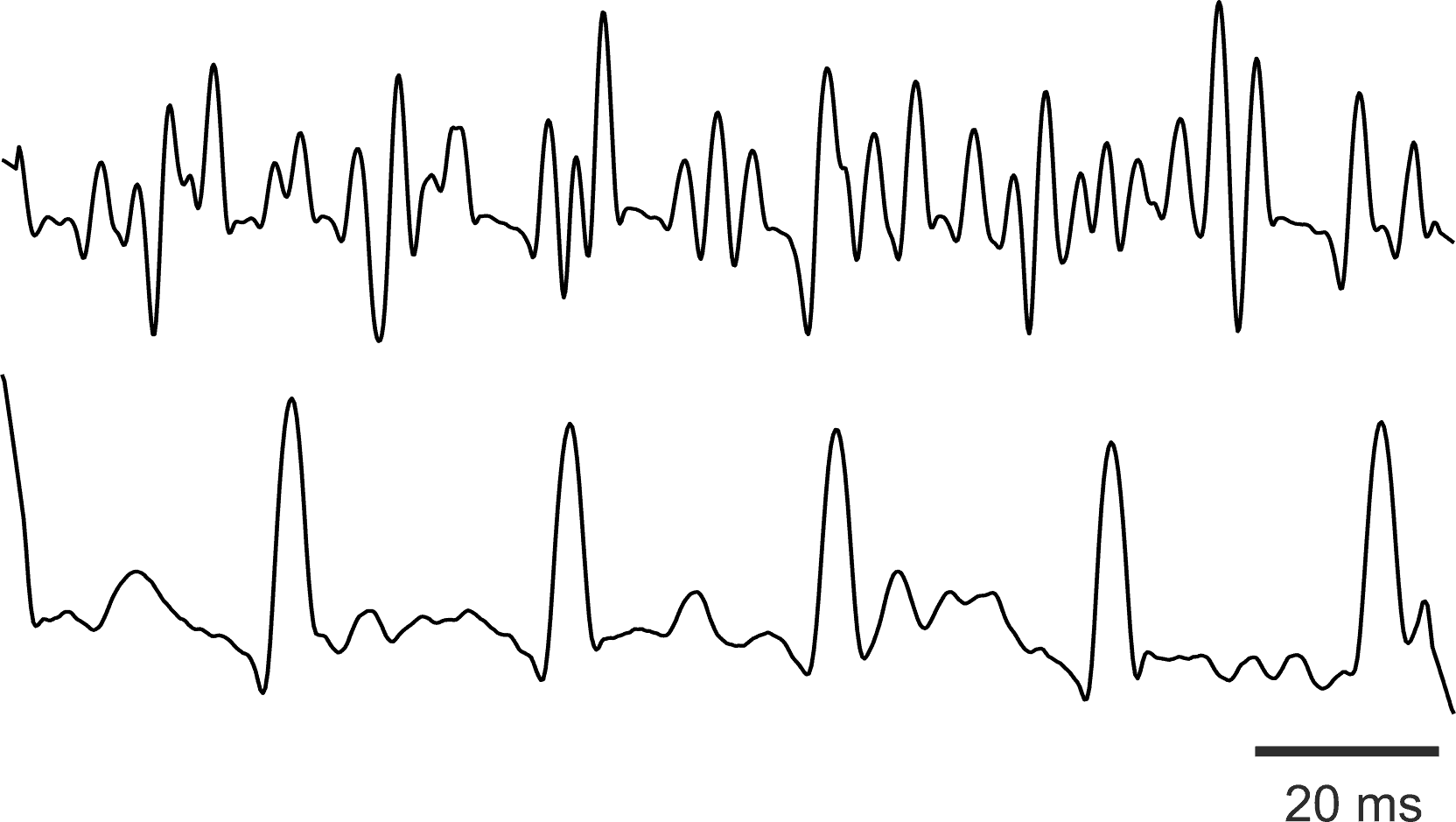 Spikes carried by multiple axons and a single axon.