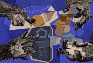 Illustration of primate hands interacting with objects of cognitive tests.