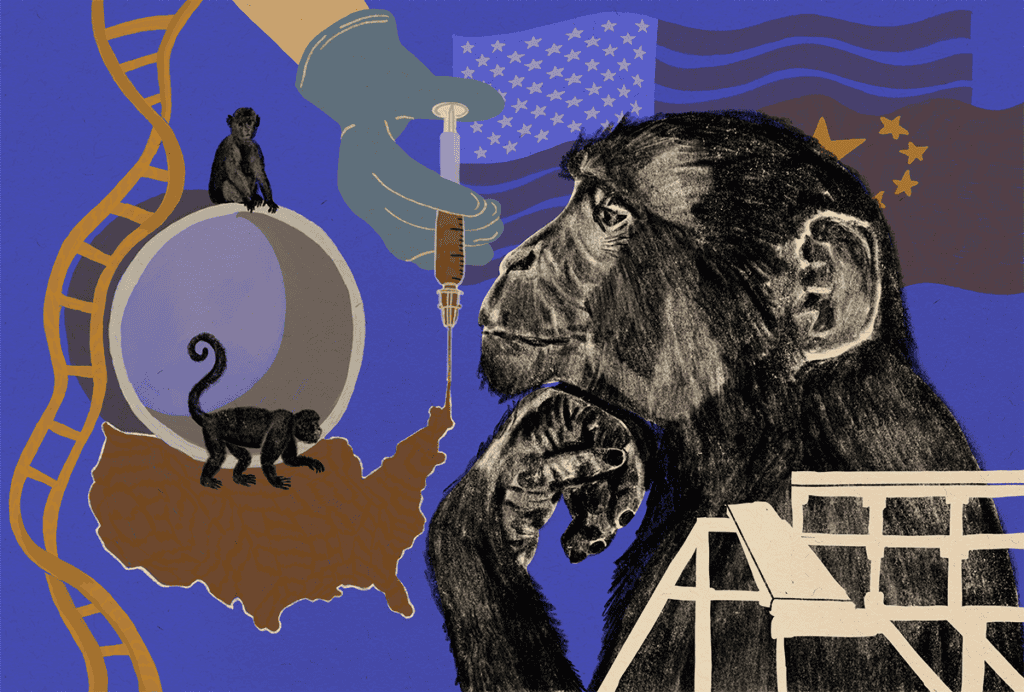 Illustrated collage of a monkey profile, a gloved hand holding a vaccine syringe touching an outline of the United States with two primates sitting near it, a strand of DNA, and flags of the United States and China in the background.