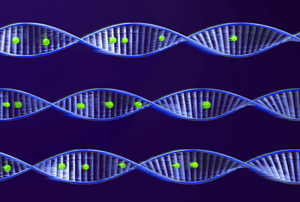 Stock illustration of strands of DNA with mutations.