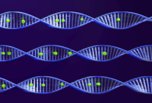 Stock illustration of strands of DNA with mutations.