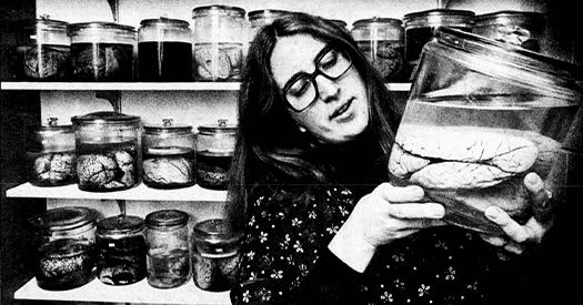 Barbara Finlay shaped neuroscience by linking brain structures