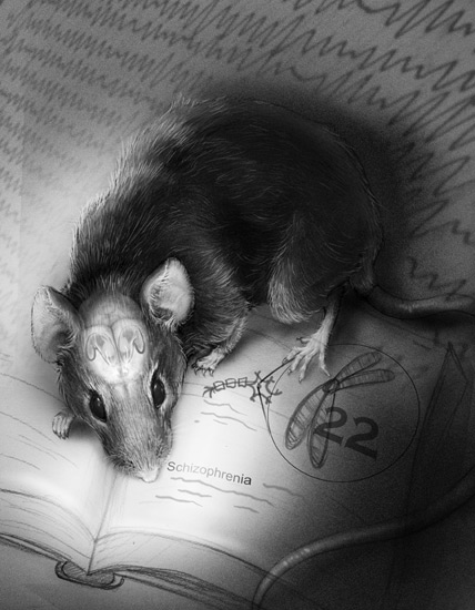 Drawing of a rat sitting on a book with a brain and chromosome 22 highlighted